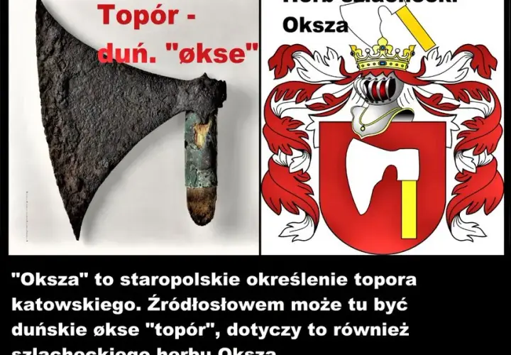 Jaki herb szlachecki ma Tusk? Odkryj tajemnice herbu Topór