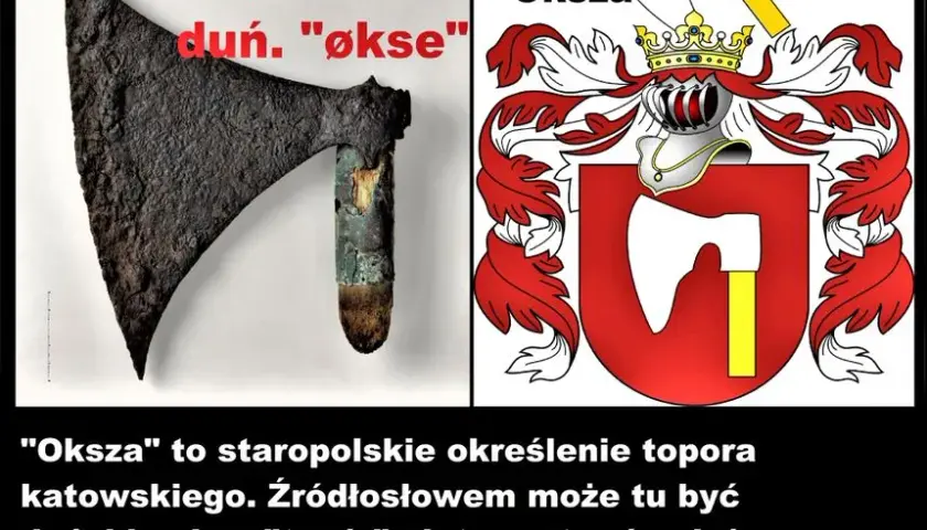 Jaki herb szlachecki ma Tusk? Odkryj tajemnice herbu Topór